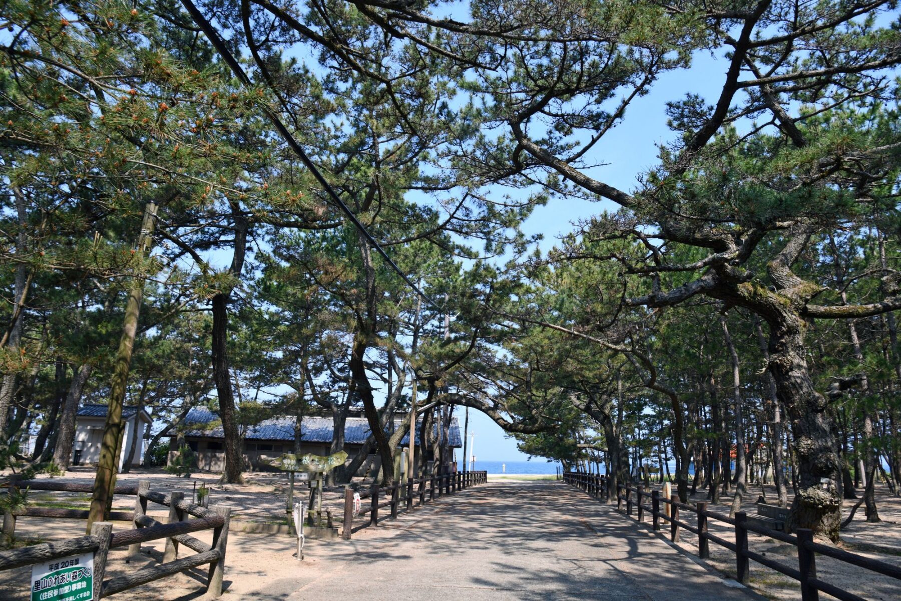 慶野松原海水浴場
